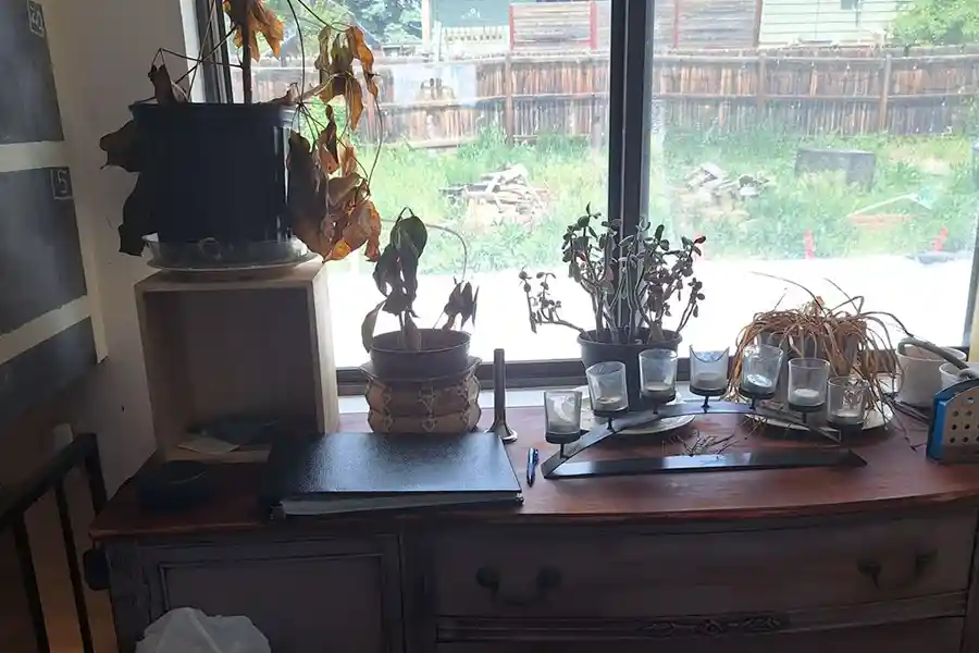 Reliable Home Cleaner in Edgewater, CO Reliable Home Cleaner in Edgewater, CO